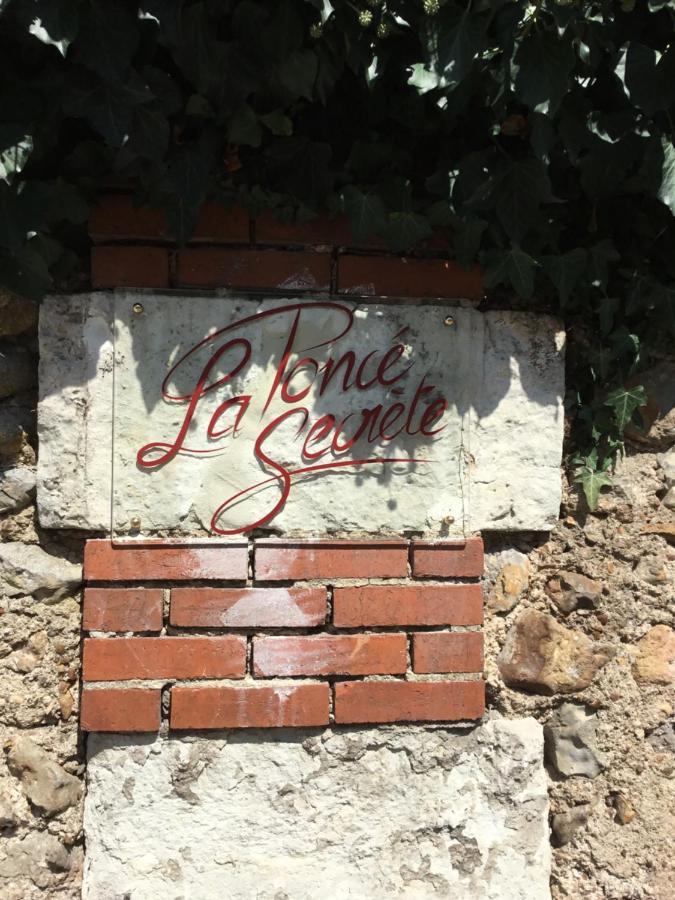 La Ponce Secrete Bed & Breakfast Ponce sur Le Loir Exterior photo